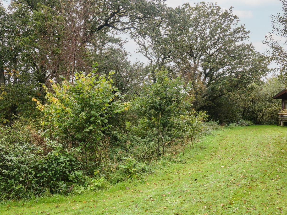 Braeburn Lodge Winkleigh Eksteriør billede